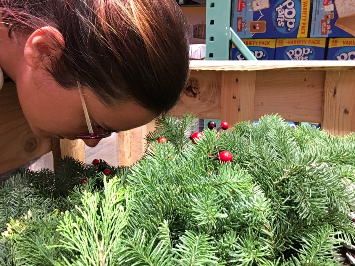 Dammit_Liz's tweet photo. Donโt mind me. Iโm just burying myself in wreaths at Costco cause they smell like home. #missingseattle https://t.co/sbOu0Ticgg