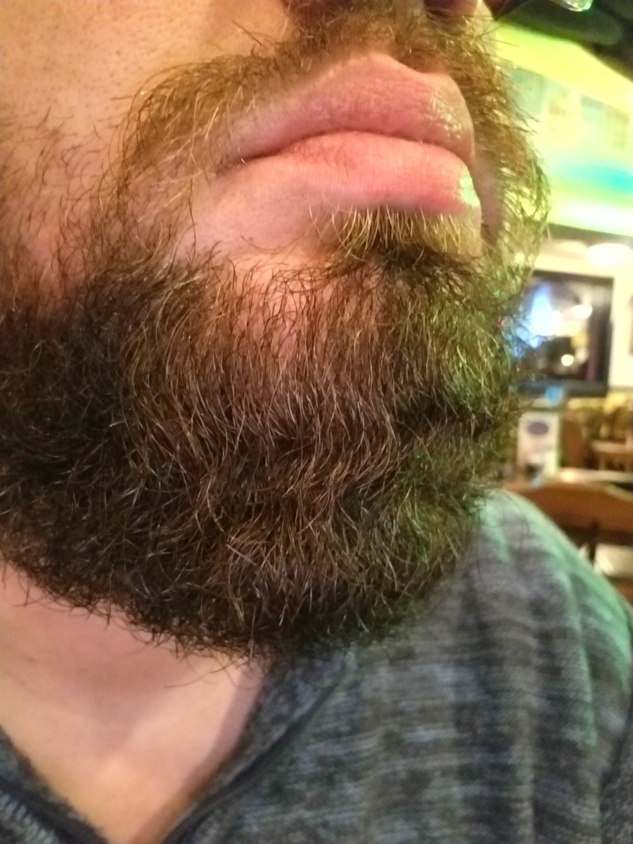 The beard grows in volume and power. 
#beard #beardgang #BeardLife