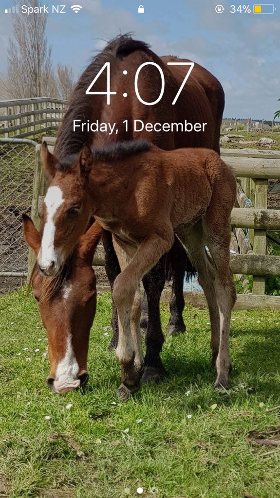 gabbithaa23's tweet photo. @StefMichalak My pride and joy. Will probably change it when I have baby, due Xmas day 😁❣️ https://t.co/sgWLgxOeoG