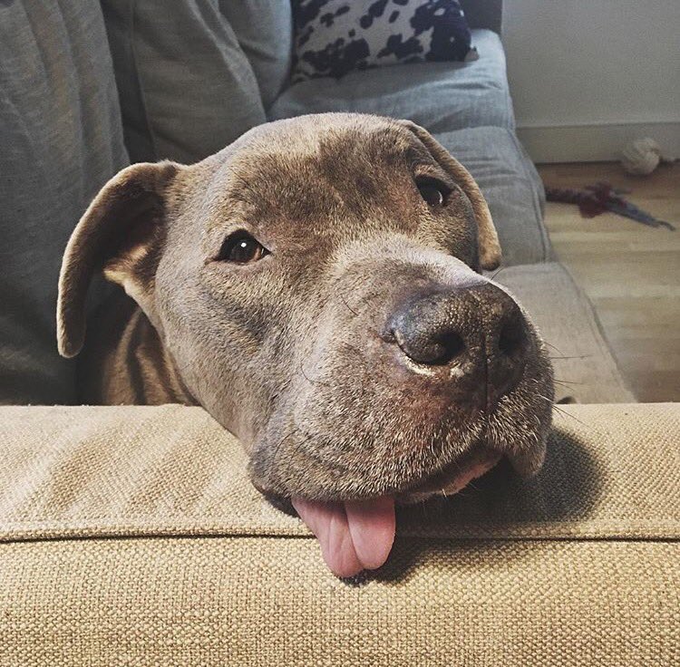 TGTF: thank god tomorrow's Friday