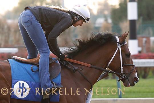 Rickelle Nelson tweet media