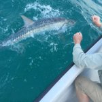 Photo by Captain Jeff Maggio (@Lunkerdog)