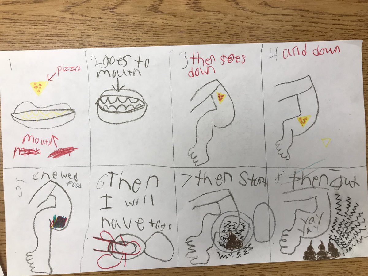 jebpowen's tweet photo. Had my ArtSci 2nd graders illustrate how they think their favorite foods turn into poop! @ArtBioCollab @SciArtMagazine #artsci https://t.co/7FXnTYzaAj