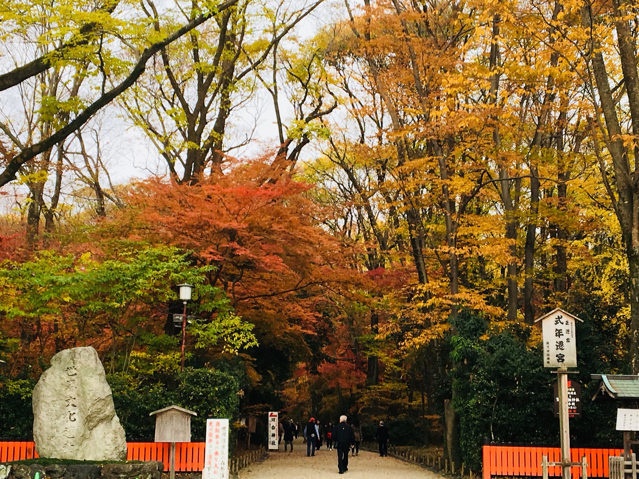 Ru Ri Kox 下鴨神社 T Co Rapqnupkjm Twitter