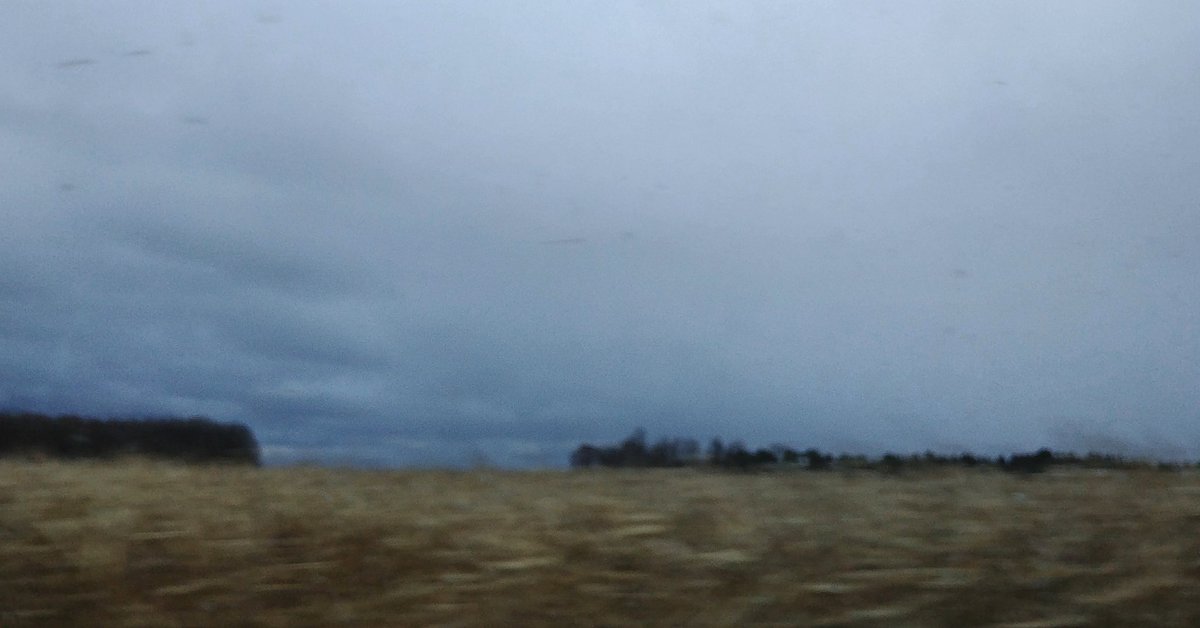 cstwrt's tweet photo. Lakeshore Road: woodlots, fields, the lake just beyond...
#documentinglandscape https://t.co/wJ5c0lx8P1
