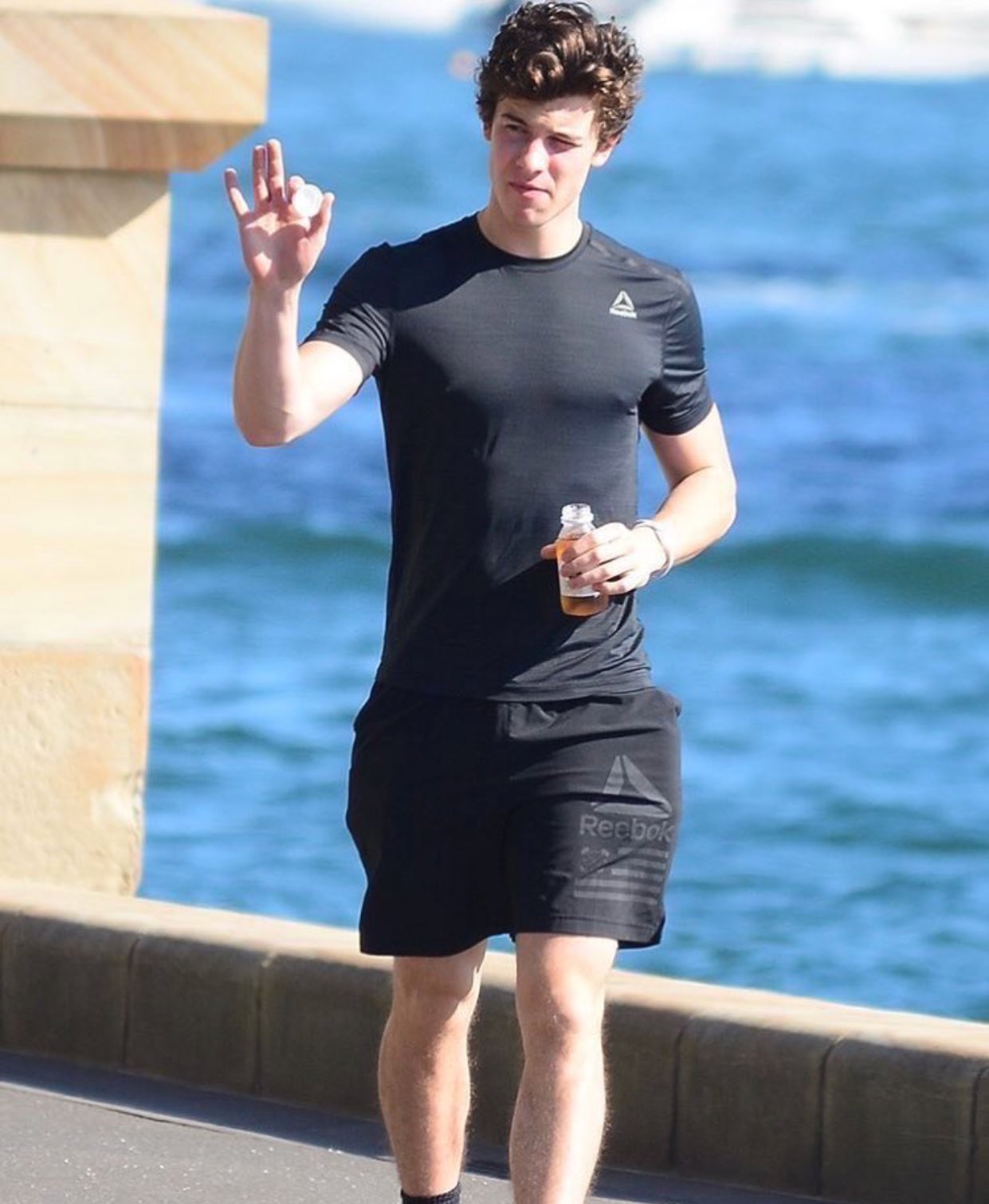 shawn mendes joggers