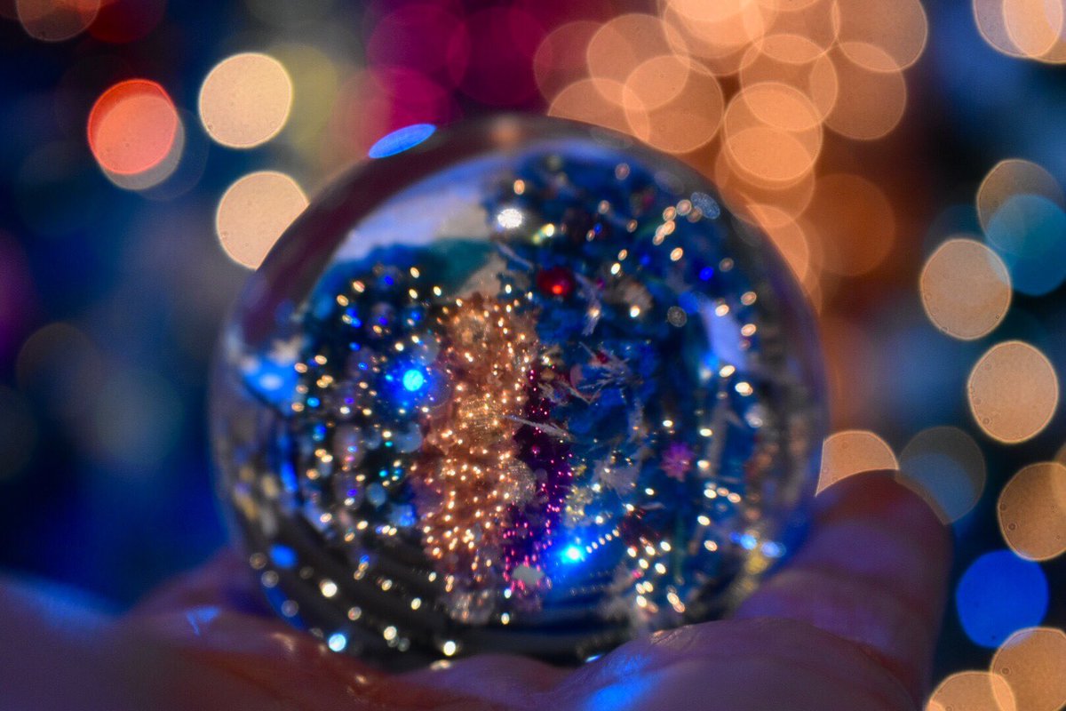 Coffee_Baileys's tweet photo. Edmonton’s Festival of Trees is in full swing and is absolutely magical! Check it out at #shawconferencecenter #yeg #yegwx #yegcommunity   #christmaslights https://t.co/YgqkV06qdK