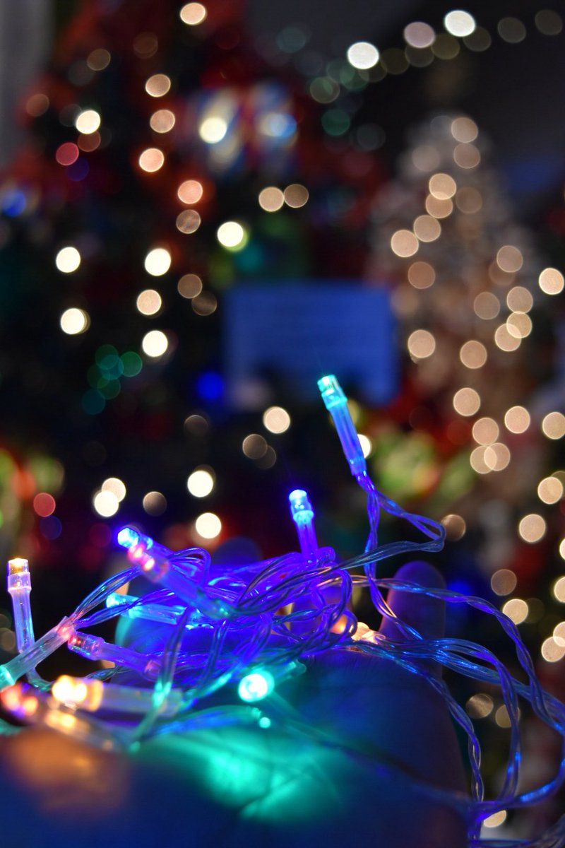 Coffee_Baileys's tweet photo. Edmonton’s Festival of Trees is in full swing and is absolutely magical! Check it out at #shawconferencecenter #yeg #yegwx #yegcommunity   #christmaslights https://t.co/YgqkV06qdK