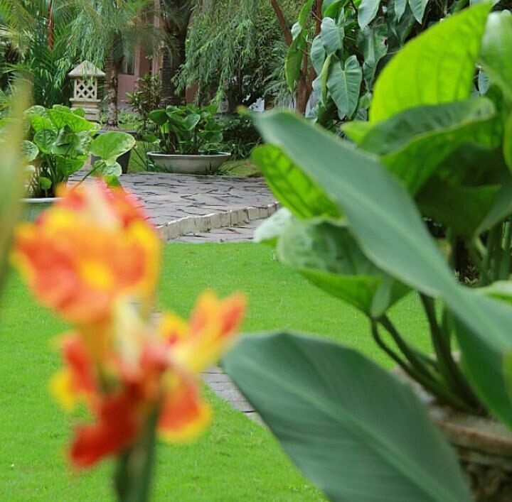 Instagram @galeriukmindonesia > After the morning rain. 
Time to #relax and #enjoy with your loved ones and family.

#GrandAquila #Hotel #Bandung #WestJava #Indonesia #VisitIndonesia #Tourism #Travel #Travelling #ExploreBandung #Garden #Green #Morning #Rain #Friday #LongWeek…