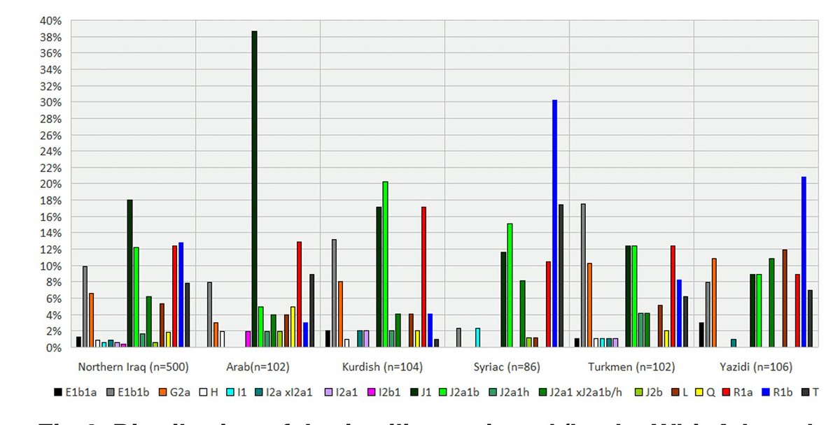 هنا ملخص سلالات النتائج للدراسة على عينات عشوائية تم مسحها كالآتي : 
- عرب شمال العراق 102
- الكرد 104
- السريان 86 
- اليزيديين 106 
- التركمان 102 

العدد 500 عينة