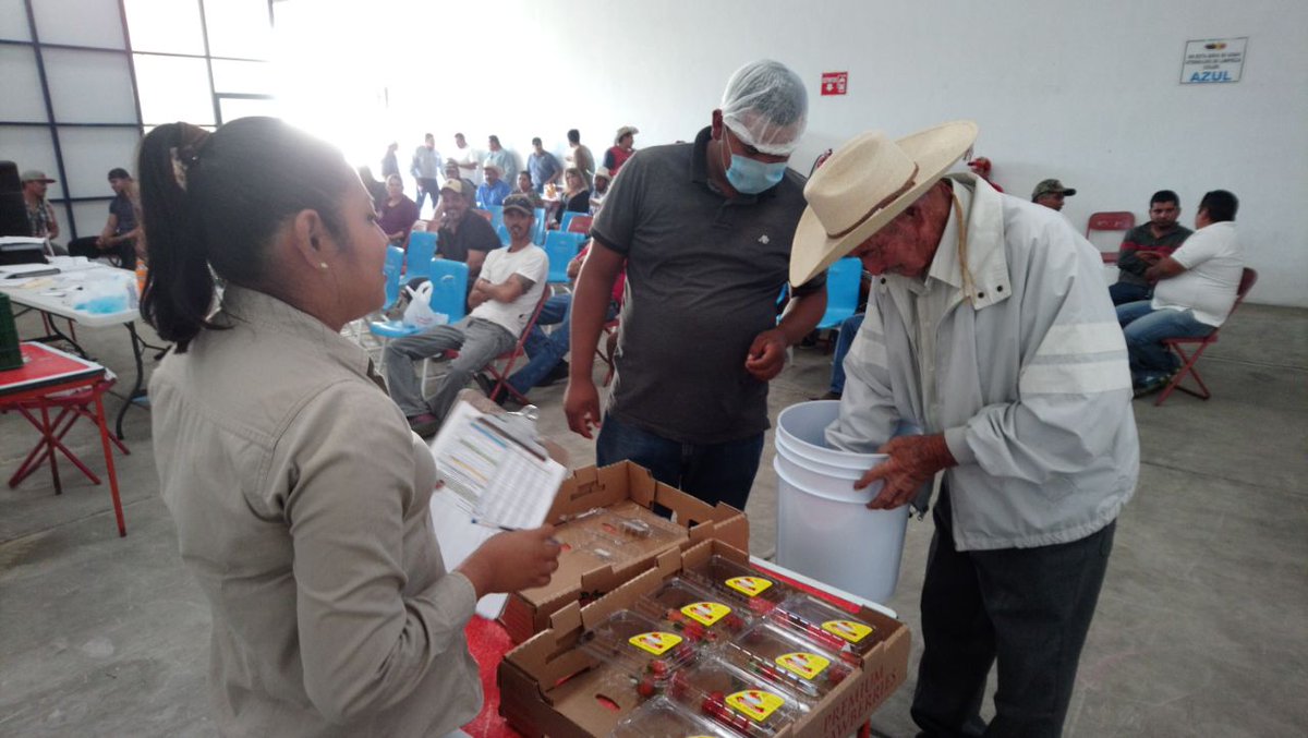 ROSACER14329571's tweet photo. Proceso de Evaluacion en el EC0481 Cosecha de Berries realizado en la Estancia Igarteña, Jacona, Michoacán @Mely_Romero @PerlaIbaez2 @linosma @LeticiaInca @incarural https://t.co/BXlrOm6spj
