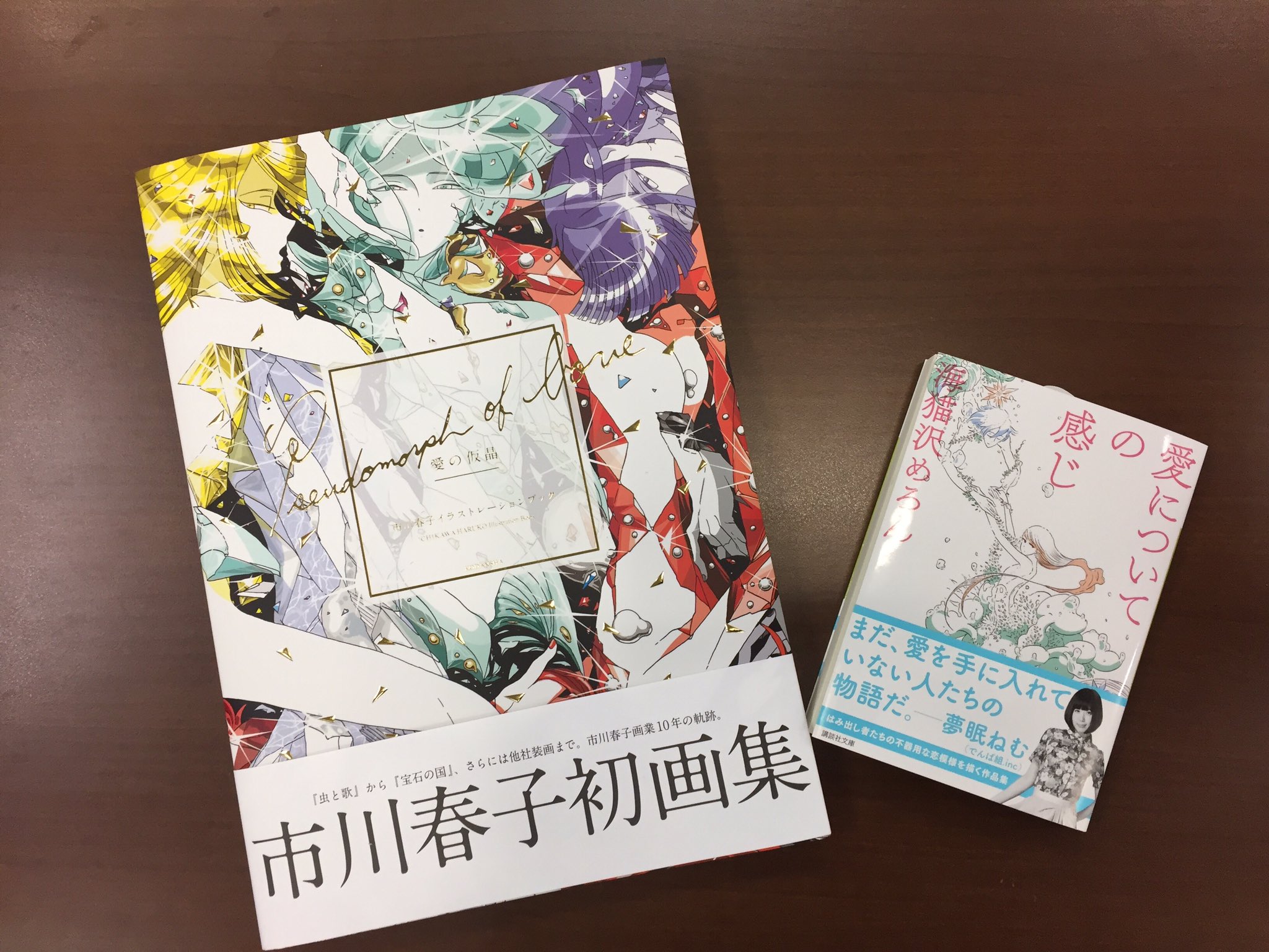 群像 宝石の国 がアニメ化されて話題の市川春子さん初めての画集 愛の仮晶 市川春子イラストレーションブック が発売中です 海猫沢めろんさんの小説 愛についての感じ のために市川さんが描き下ろして下さった装画も収録されています 実際は横に