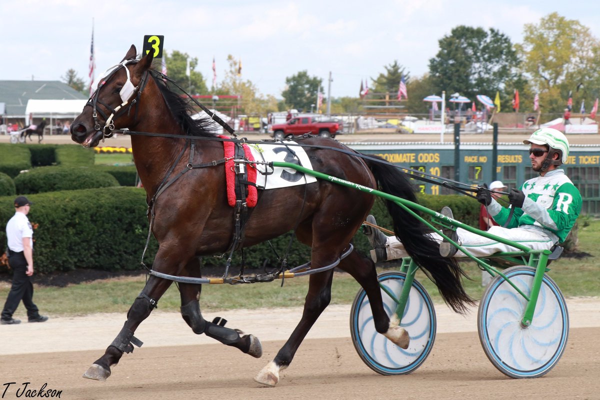 hoosiernations's tweet photo. GoodMorning @Chris_wponies @JoannKi32885615 @rebelsart @vnssa926 @jtlburn @kimberlymoier @dolenski_john @SadandSulk @KathleenBaitzel #DavesOnTheMove #BJRoberts #Delaware https://t.co/4KSaAToN9e