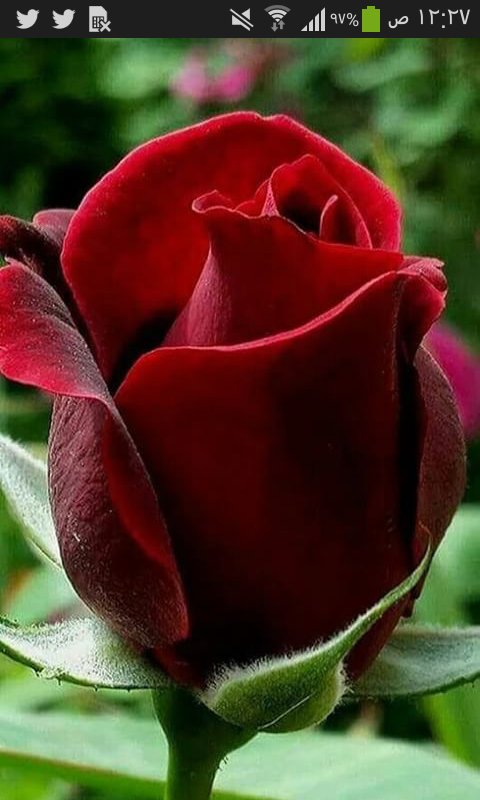 lyly67069's tweet photo. @chsdjffjffkrri @7RZ0bxqHkXjtCYX @aBnwMA8faUbrIx9 @XgGs828rWCPobhy @Pz8Xcn @285NWQ4mUTywbDr @OUEVsLS2eNdJGVv @2h_34 @aT0ErIprYTV7awe https://t.co/oyLNkqxca8