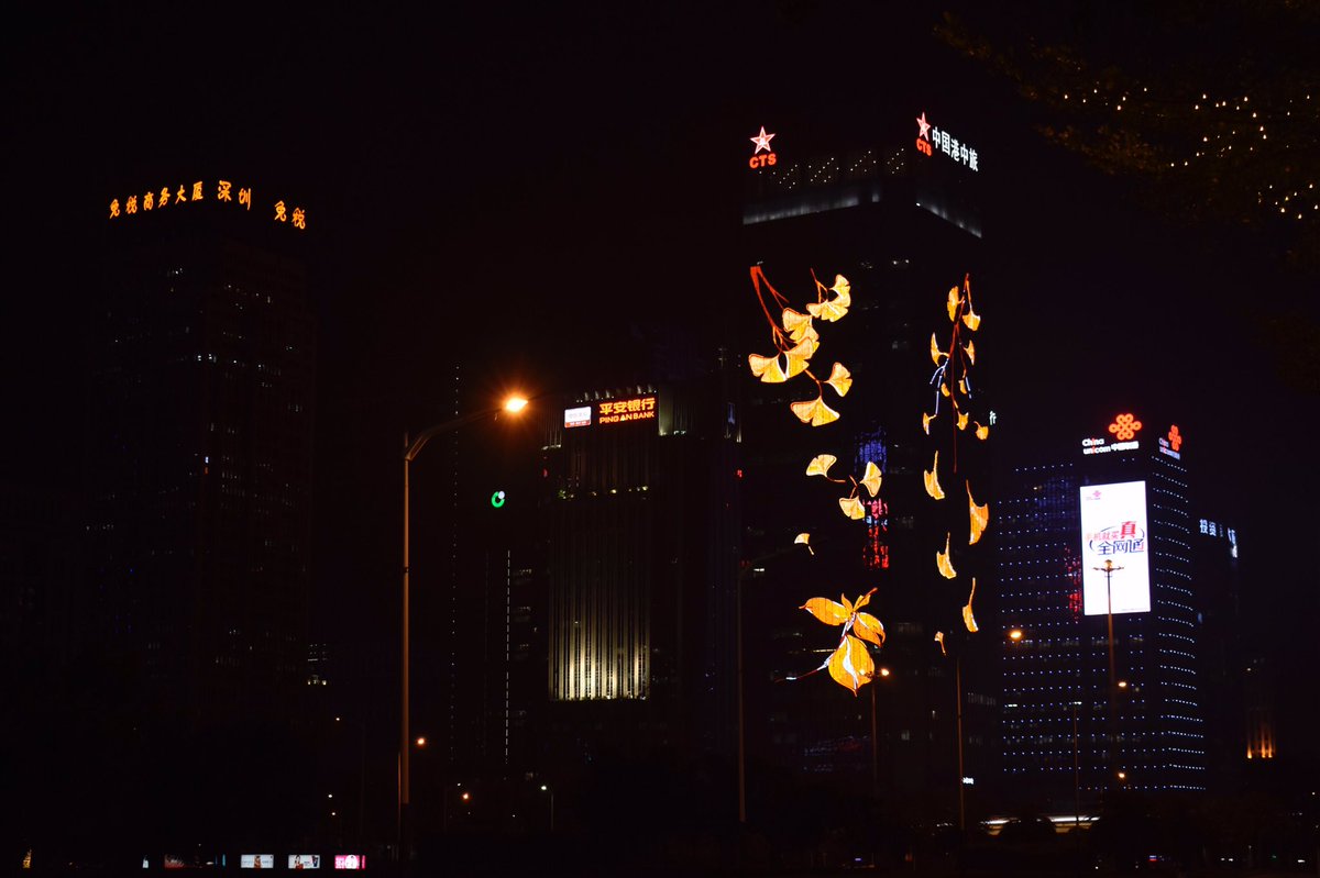 Tonerctrge's tweet image. Night view