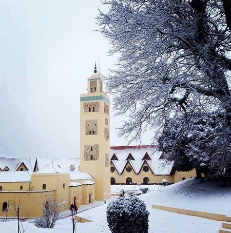MarocTopNews's tweet photo. Quand il neige à Ifrane .. https://t.co/cU99JwH06t