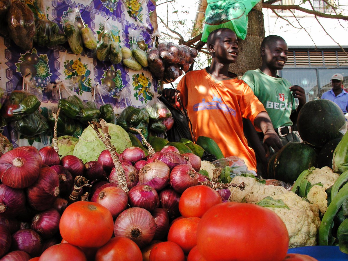 Spore_mag's tweet photo. 43 % de la pop africaine tirent des revenus du commerce transfrontalier informel. Avec quelles implications pour le secteur agricole ? Lisez notre dossier #commerceinformel #agrobusiness https://t.co/0sWpw8JJLD https://t.co/EI2DIPmwd6