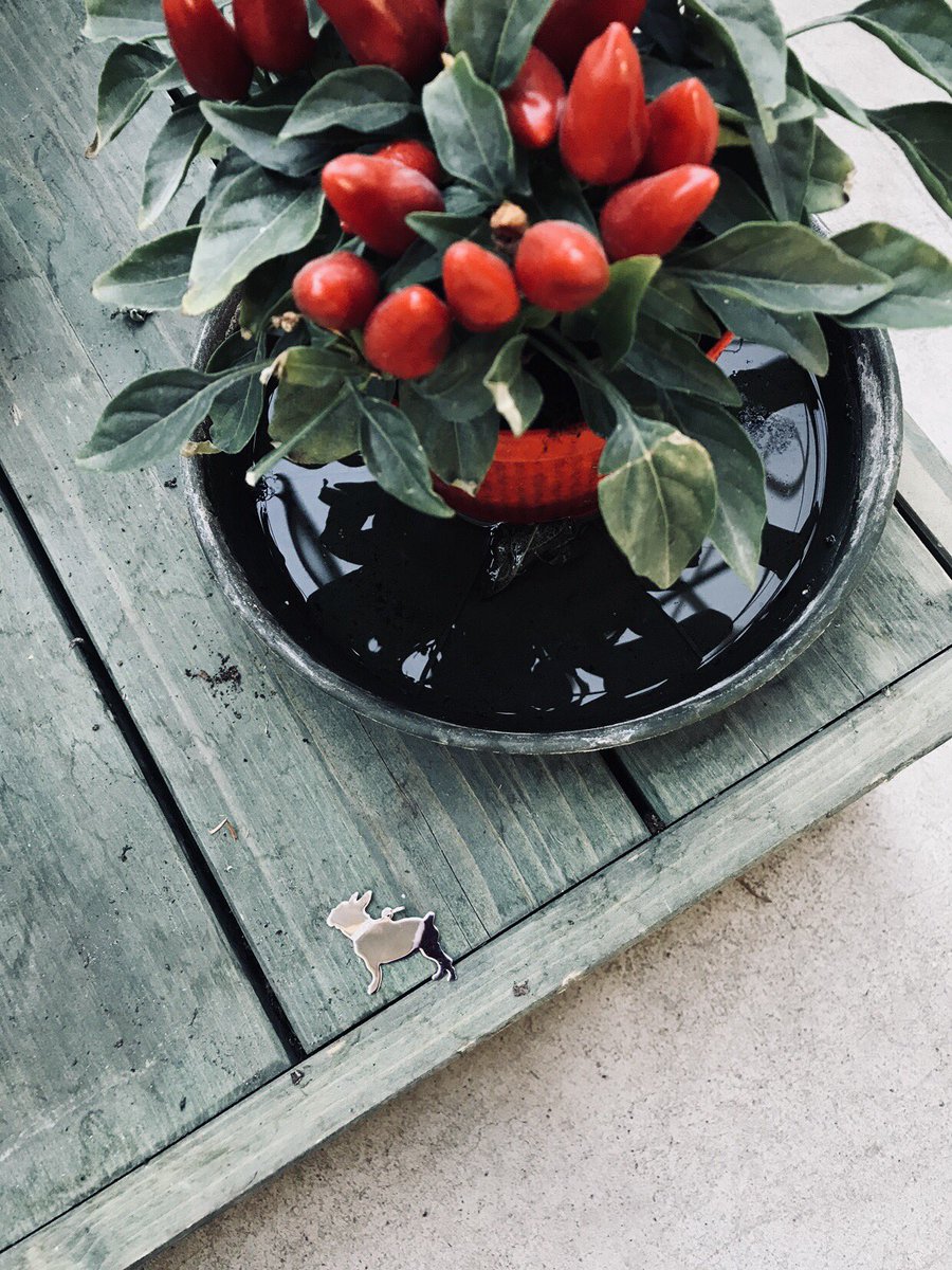 srstoreitaly's tweet photo. Ciondolo Bulldog Francese in argento rodiato 925
https://t.co/RMAMsmon5u
#srstore #bijoux #srstoreitaly #gioielli #donna #portafortuna #fortuna #argento #italy #italia #silver #regalo #idearegalo #cane #anno2018 #madeinitaly #allyouneed #milano #vicenza #bassano #trento https://t.co/FlaJR2et7Y