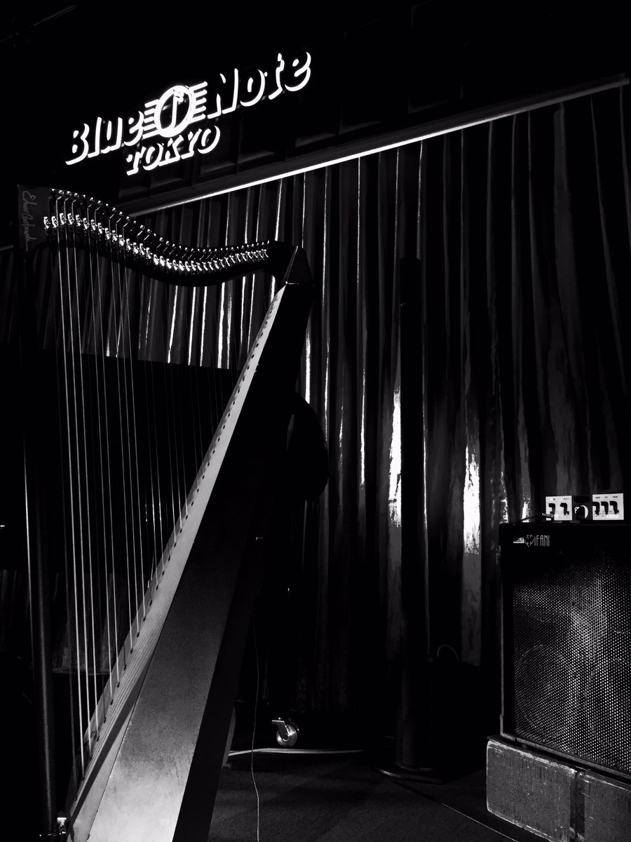 Ready to play 3 nights @bluenotetokyo #ecllanera #edmarcastaneda #harp #camacharps #bluenotetokyo