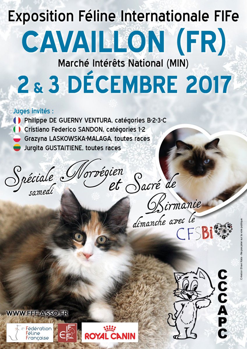Le Cat Club Côte d’Azur Provence Corse (CCCAPC) organise le festival international du #chat de race au #MINCAVAILLON les 2 &amp; 3 décembre. L’exposition féline est sous la forme d’un concours de beauté de chats de race, de deux certificats sur deux jours.