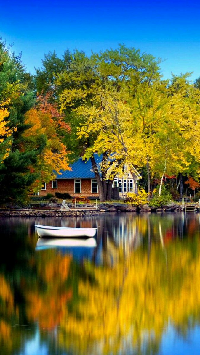 MarionSpekker's tweet photo. Good morning :-))
Twitterworld ✨💛✨ https://t.co/rvCzRfC1IB