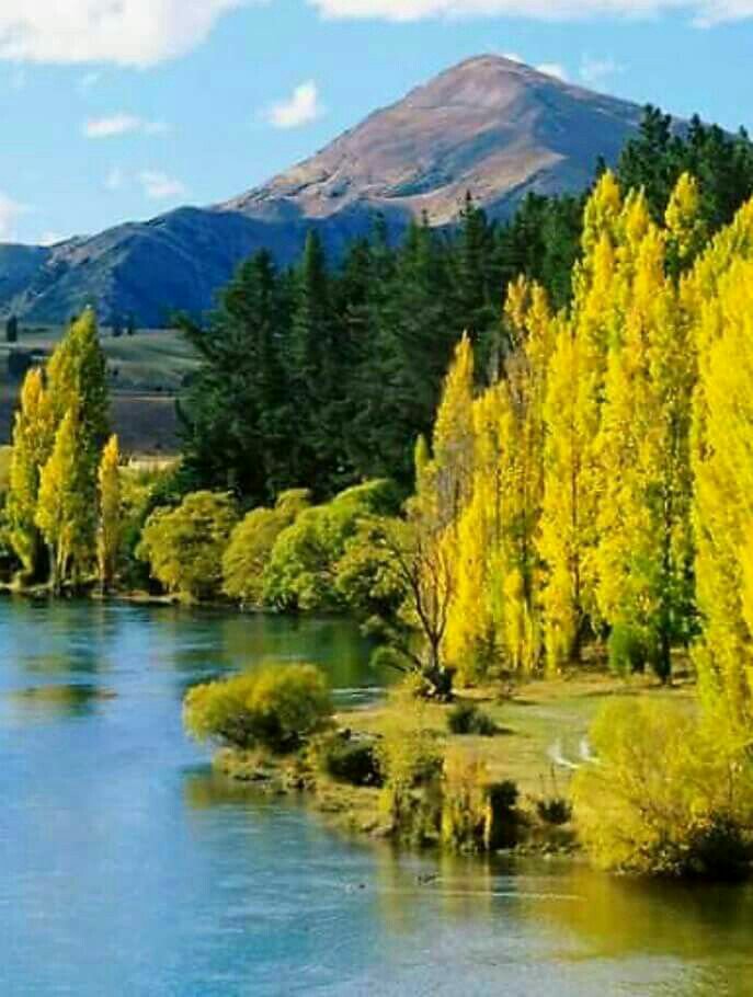 MarionSpekker's tweet photo. @bullbarg 
Have a happy day :-)) 🌿🌿 https://t.co/tg6oUkdb28