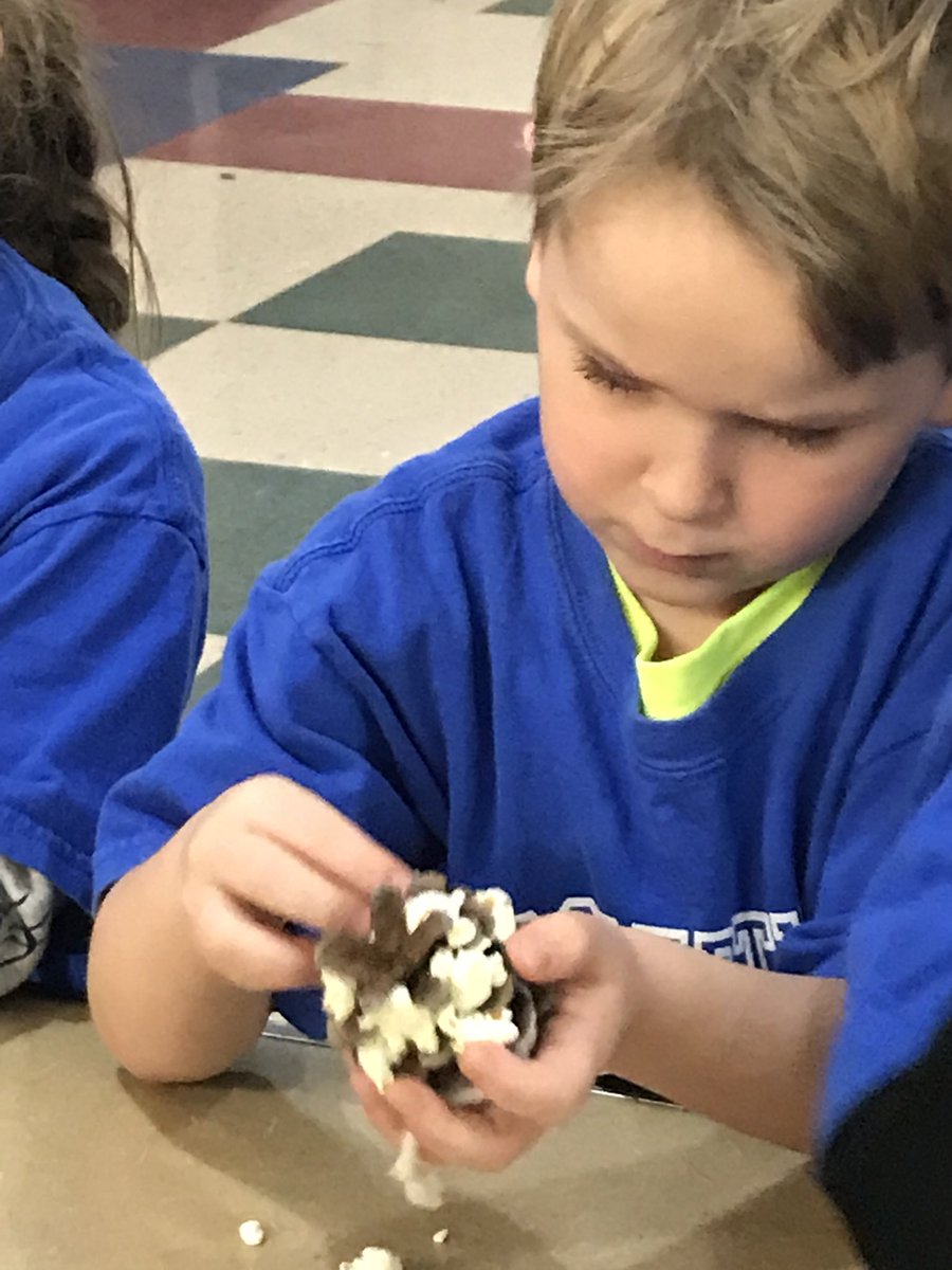 Mrs. Jennie Ashley (@mrsjennieashley) on Twitter photo Kinder scientists <a href="/DublinWL/">Dublin Elementary</a> explored, learned & created <a href="/wloec/">WL Outdoor Ed Center</a> <a href="/WalledLkSchools/">Walled Lake Schools</a> Kinder scientists <a href="/DublinWL/">Dublin Elementary</a> explored, learned & created <a href="/wloec/">WL Outdoor Ed Center</a> <a href="/WalledLkSchools/">Walled Lake Schools</a>
