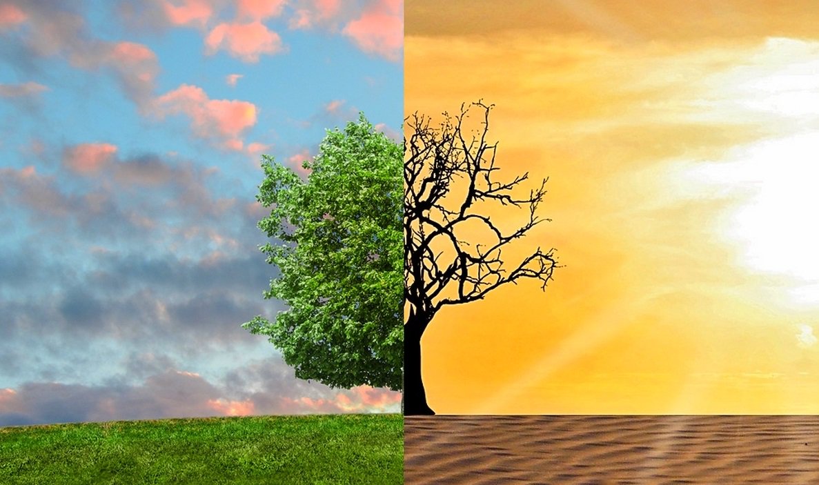 EdjetCom's tweet photo. Check out this free Climate change - Visioning and Backcasting digital lesson made in HTML5 --> https://t.co/Ydl9I1Fge6 It showcase the technology pretty well. #HTML5 #elearning #FreeElearning https://t.co/1QHYZ5ysnH