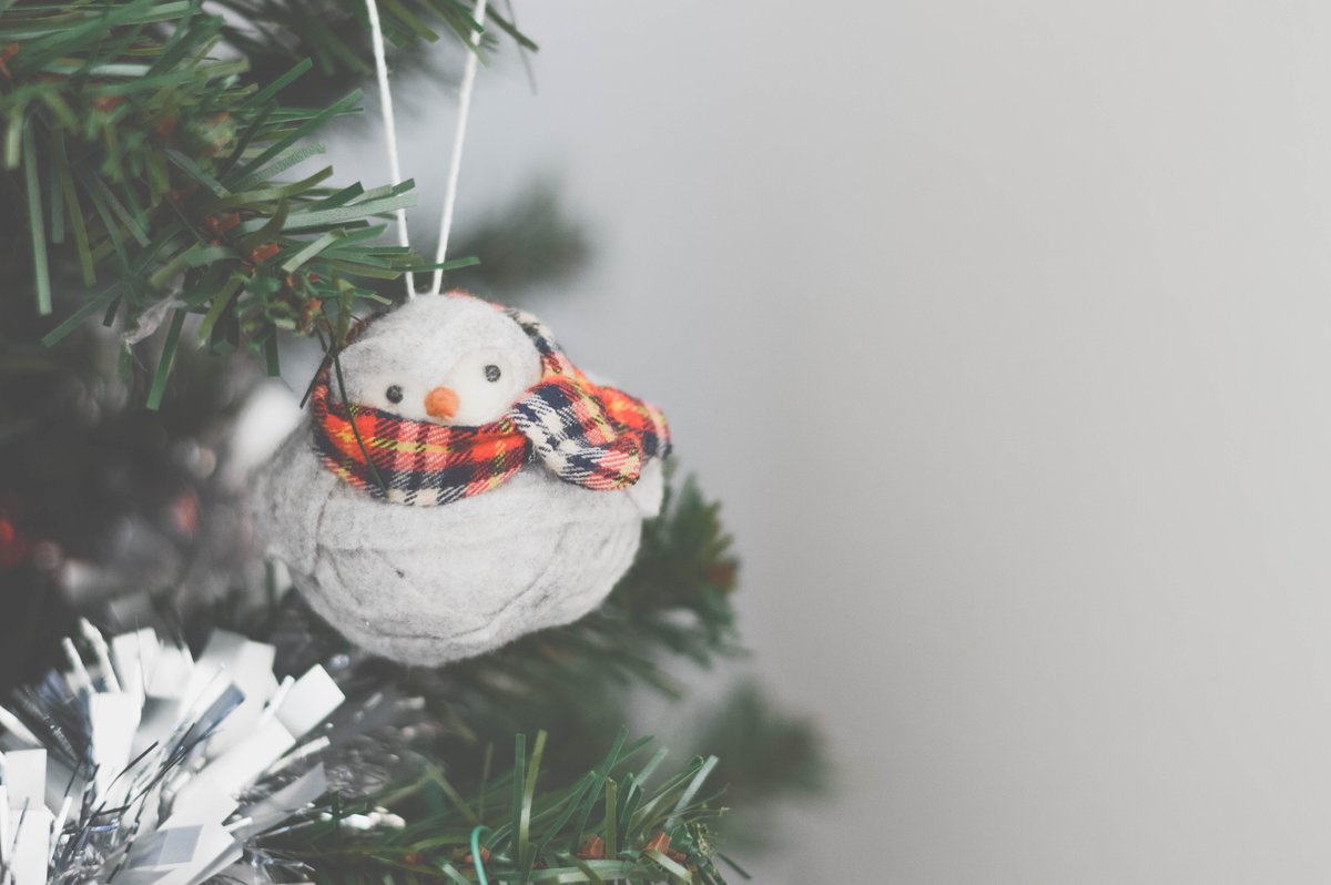 Elm_Melanie's tweet photo. Let the countdown begin! #FridayFeeling #ChristmasCountdown #NEFollowers https://t.co/R7Q2YHm38U