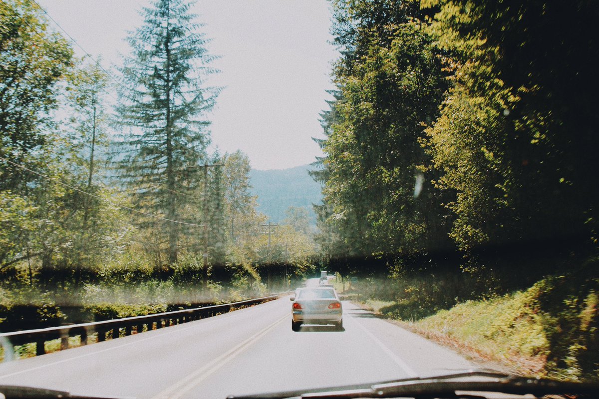 annolovesbears's tweet photo. wanna be crusin in the shine https://t.co/DkKvPMvmM7