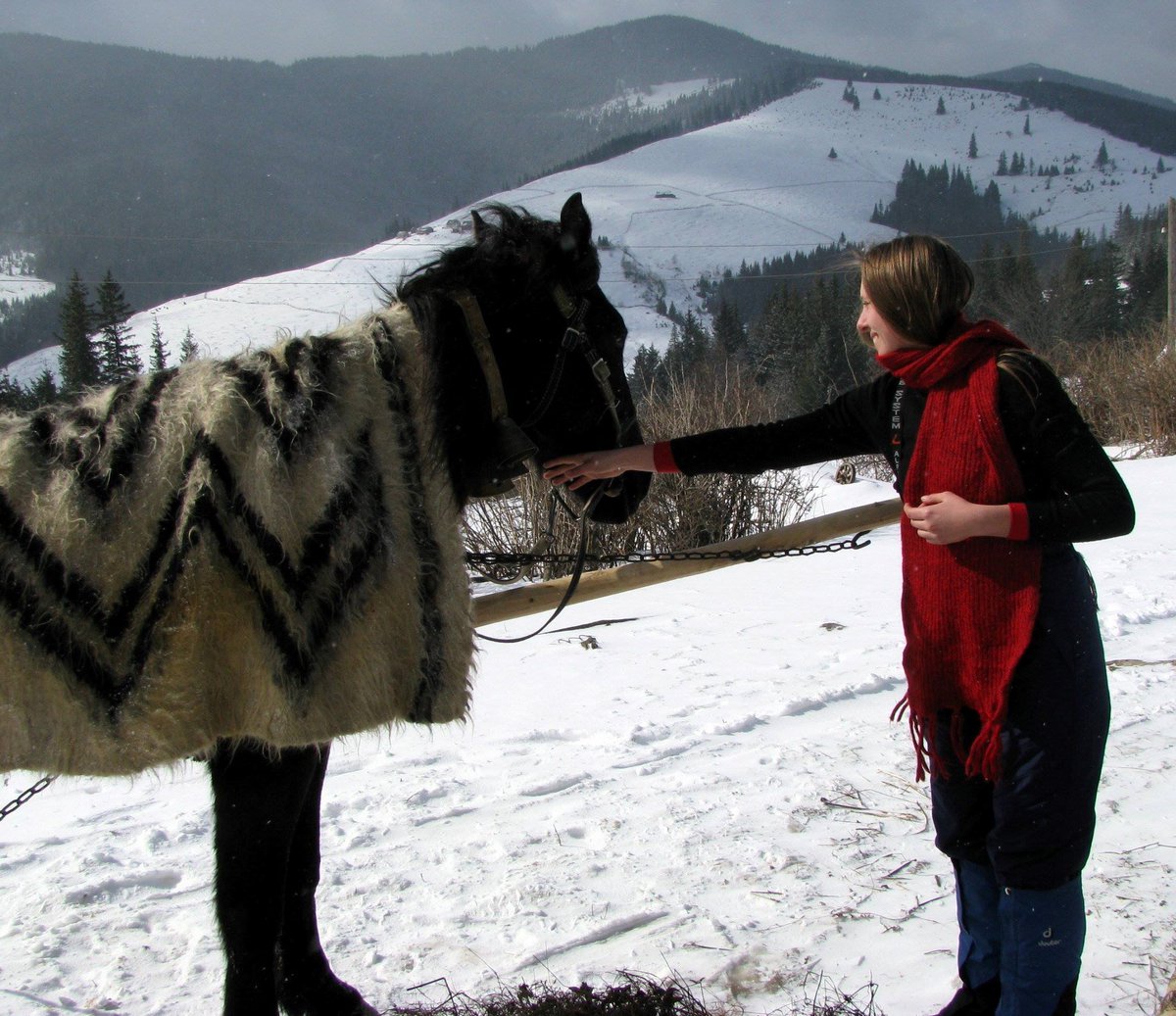 ActiveUkraine's tweet photo. Aren't you bored of sun yet? Ukraine has got snow already!
See our winter package for adventure winter activities and fun: https://t.co/5E0POKuJaA
#WinterWithActiveUkraine #wintertours #winteractivities #horseriding #winterfun #adventure #skiing #snowboarding #backcountry https://t.co/VXX97bIjSK