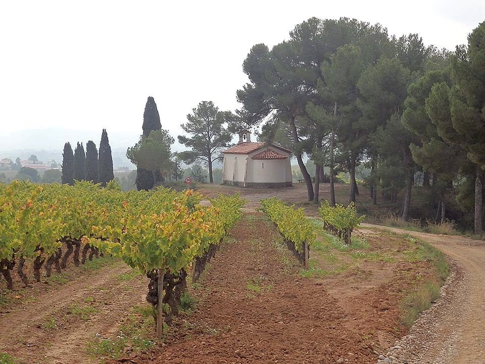 anoiadiari's tweet photo. Pel Penedès: Les Casetes d’en Raspall i les Estoses #escapades #adcapdesetmana @uecanoia https://t.co/NYX4jqQoGE https://t.co/pTPEJEHhEI