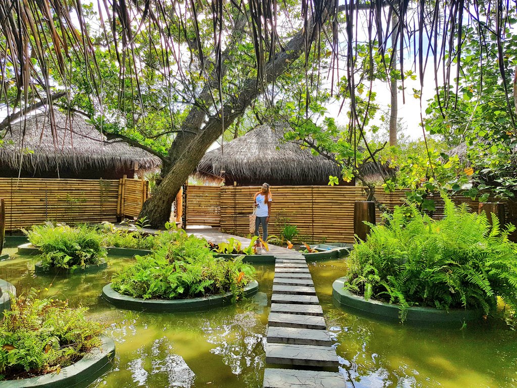 Sharaf_Maldives tweet media