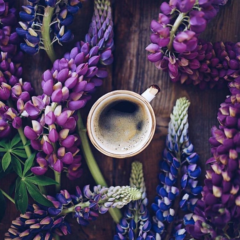 Morning and coffee 💜💙☕️ #viapinterest #buenosdias