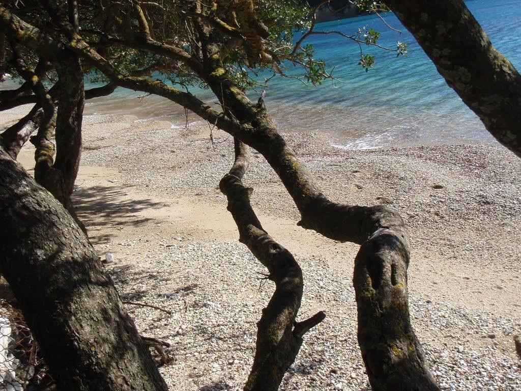 TravelLefkada's tweet photo. Desimi beach, #Lefkada
https://t.co/Q1YdBoDPMo
#TravelLefkada #Desimi #beach #Ionian #holidaygr passion for ☼ #Greece https://t.co/FcCooIVEpu