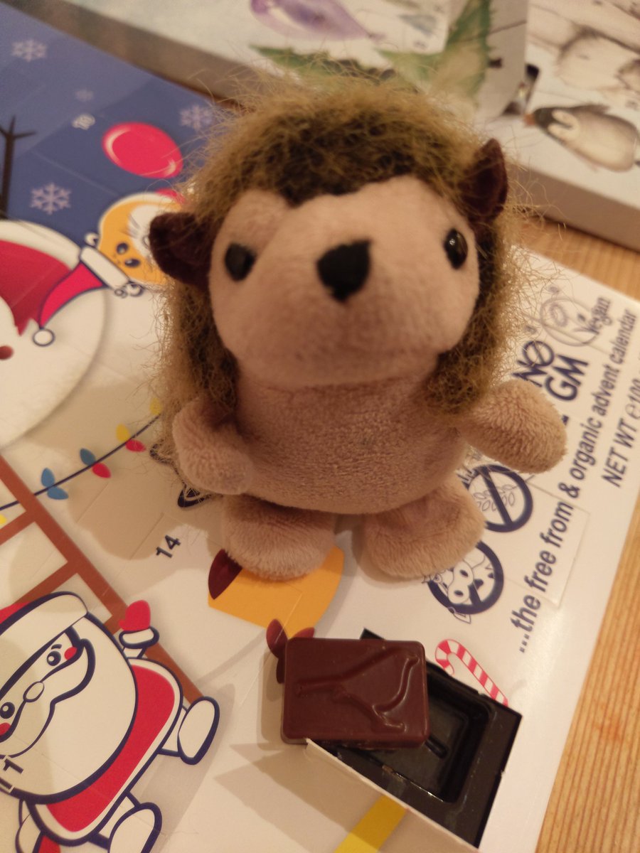 FuriouslyFree's tweet photo. Happy 1st andf December! 
@MooFreeChoccies @GrumpyHerman #freefrom #Christmas #chocolate https://t.co/UQCC8oW2Ak