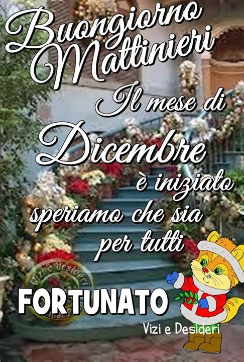 Risultati immagini per buongiorno Dicembre