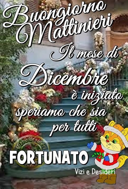 Loredana Sur Twitter Buongiorno Trenino Rosa Lele Buon Inizio Dicembre Forza E Venerdi Https T Co Cslvoxhjbk