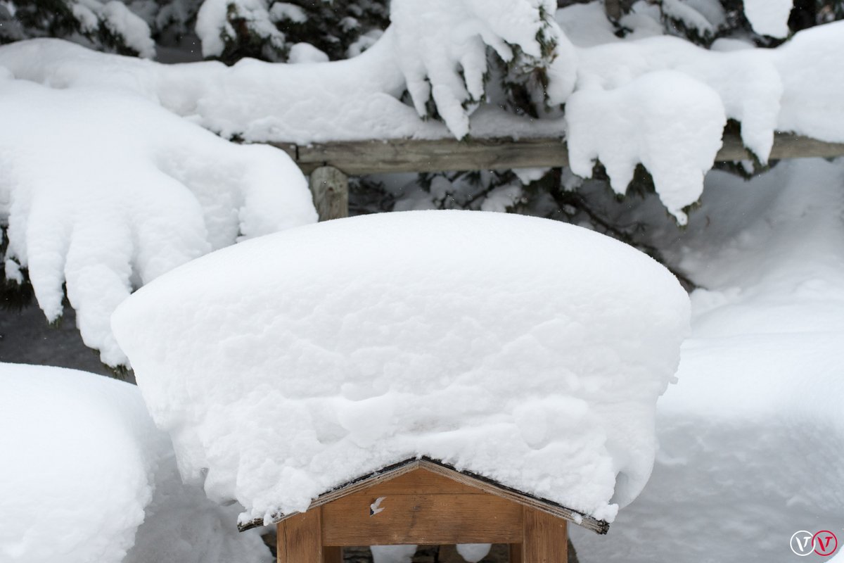 3Vallees_france's tweet photo. Looking for snow? You'll find it in @3vallees_france #valthorens #lesmenuires #meribel #latania Merci @wild_damian @PascalAbry https://t.co/qiqXJknZuz