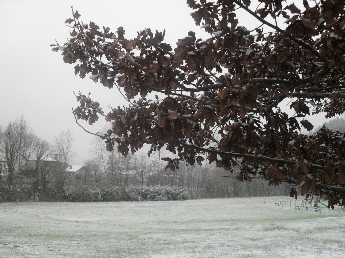 Baztan_Bidasoa's tweet photo. #Agenda ACTUALIZADA, recién sacada del horno, para que desayunes pensando en @Baztan_Bidasoa. Enamórate del #paisaje #nieve #gastronomía #cultura #tradición
Ikusi AGENDa eta egizu plana gurean! Maiteminduko zara!
https://t.co/Nvfvo2XJrp
@TurismoNavarra
@Ameztia
@RuralAccesible https://t.co/QBbPVYWZOH