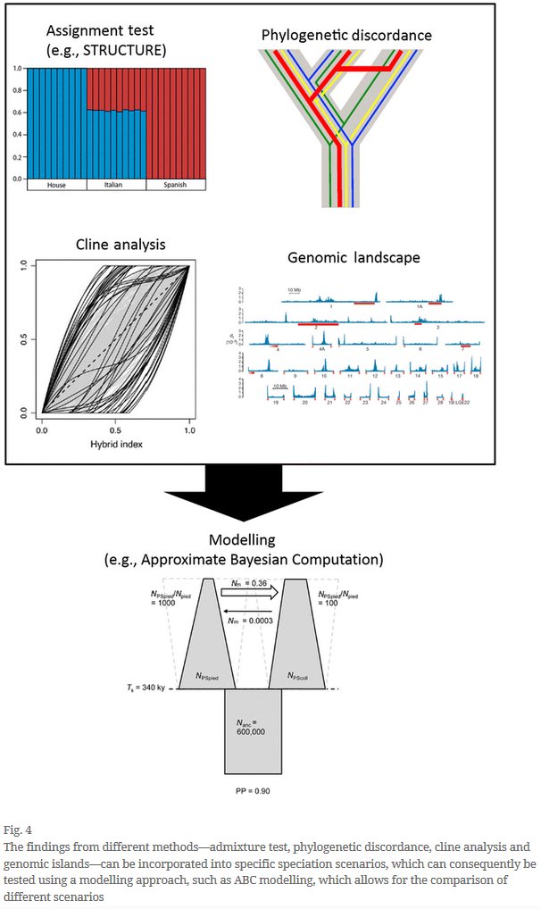 free paralanguage a linguistic and interdisciplinary approach to interactive speech and