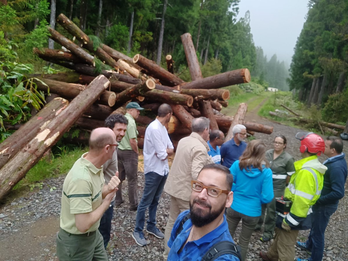 jcanaille974's tweet photo. Visite d'une exploitation forestiĂšre Ă partir d'un cĂąble mĂąt, forĂȘt de BĂ©bour #LaReunion avec le Directeur de @_FCBA #CMAR #CIRBAT https://t.co/ZYm4gefHJv