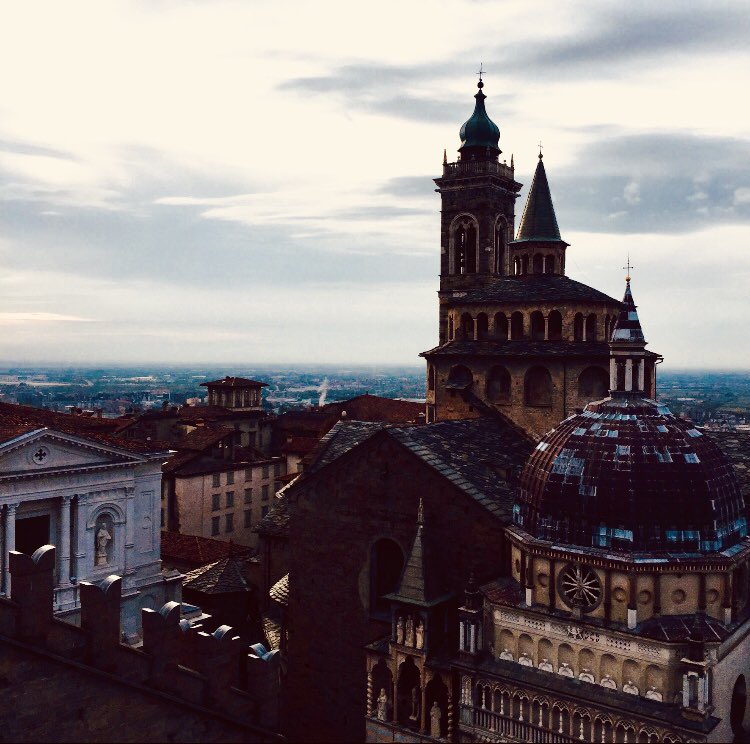 ADAPTinternational tweet media