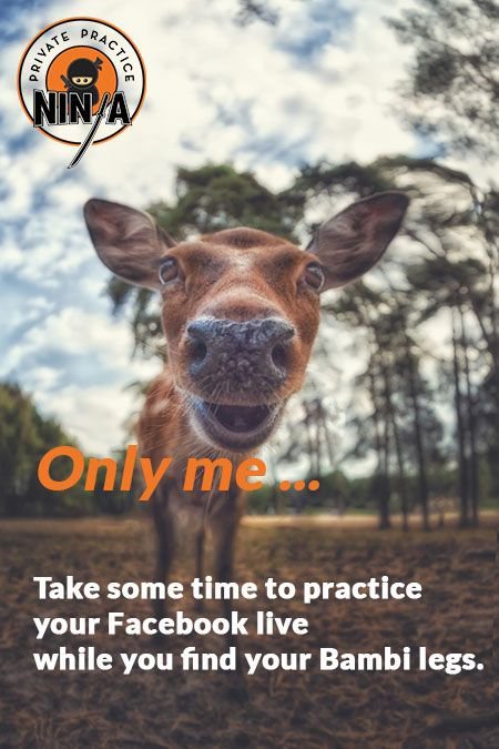 PracticeNinja's tweet photo. You can always do a few practice videos until you find your legs. https://t.co/7pJZjOomI6 #growyourprivatepractice #facebooklivetips #privatepracticeninjatips https://t.co/GTA6O4TaXM