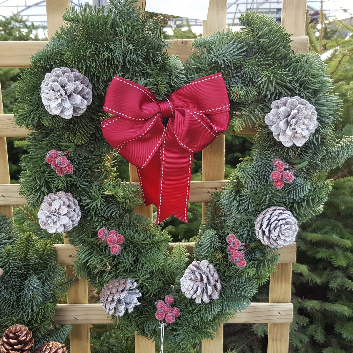 WarbreckGC's tweet photo. New in! Our beautiful wreaths... Just in time for the weekend! Only £15.99. https://t.co/XCp7CnRxns