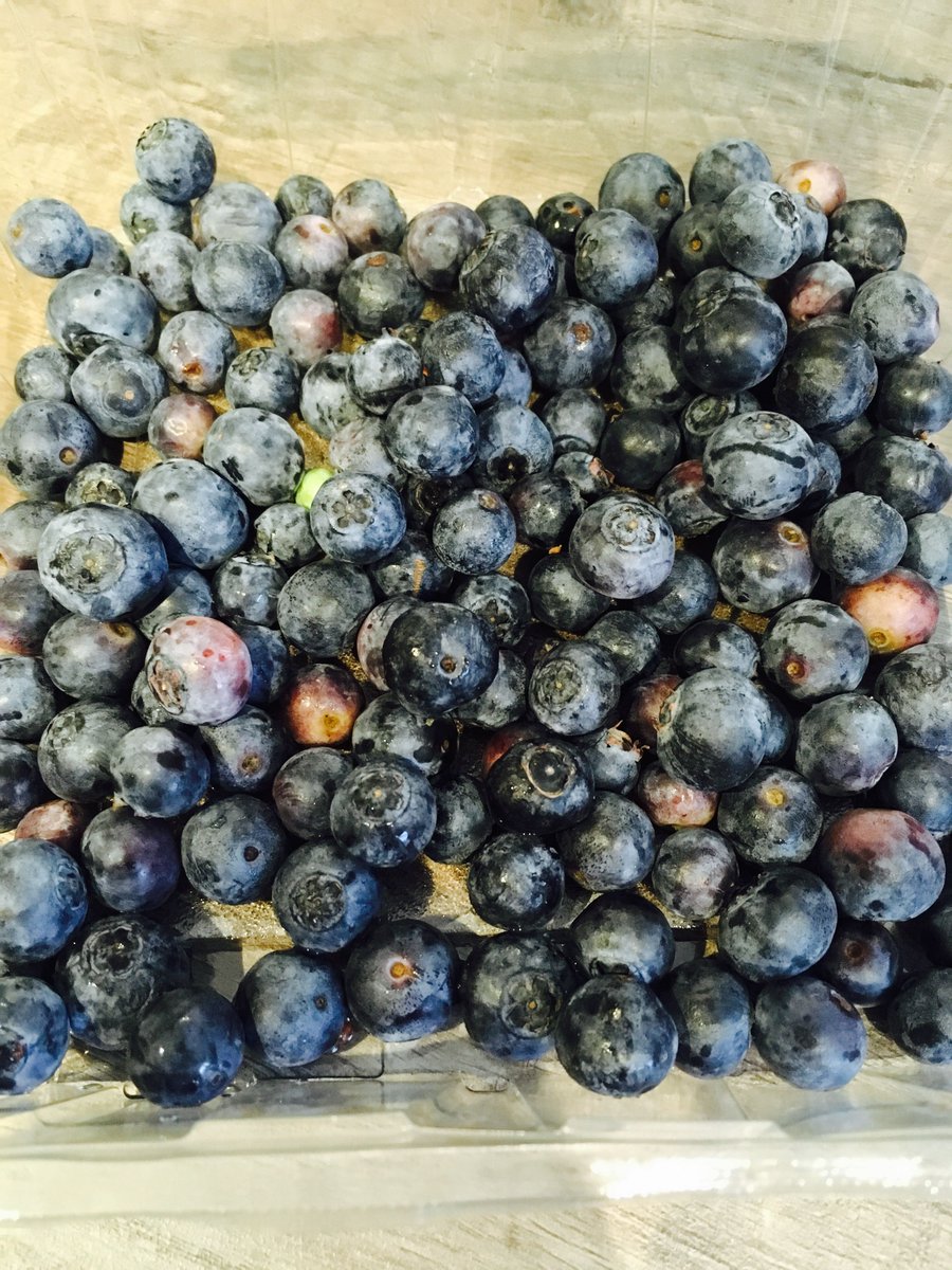 Fit2WorkUK's tweet photo. Blueberries are a powerful antioxidant bud did you know they are also an excellent source of vitamin C?
#fruitandvegfriday #fit2work https://t.co/iJ5ZTvvjpM