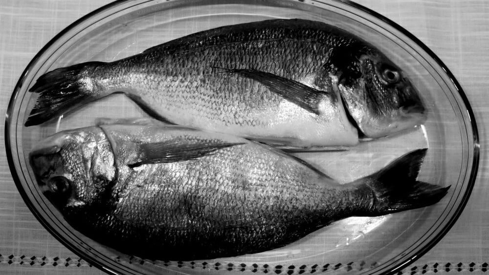 Çipura Avı Nasıl Yapılır?
balikavcisi.com/nasil-yapilir/…