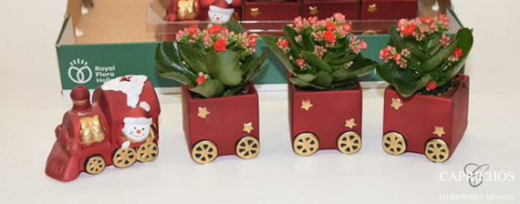 florescapricho's tweet photo. Por #FloristeriaYRegalosCaprichos #Parla, ya va pasando el tren que nos lleva de camino a la #Navidad . Tenemos la parada en C/ Real s/n bulevar norte. Junto a #Renfe. ¡Os esperamos! https://t.co/NTNUdgcsu1
