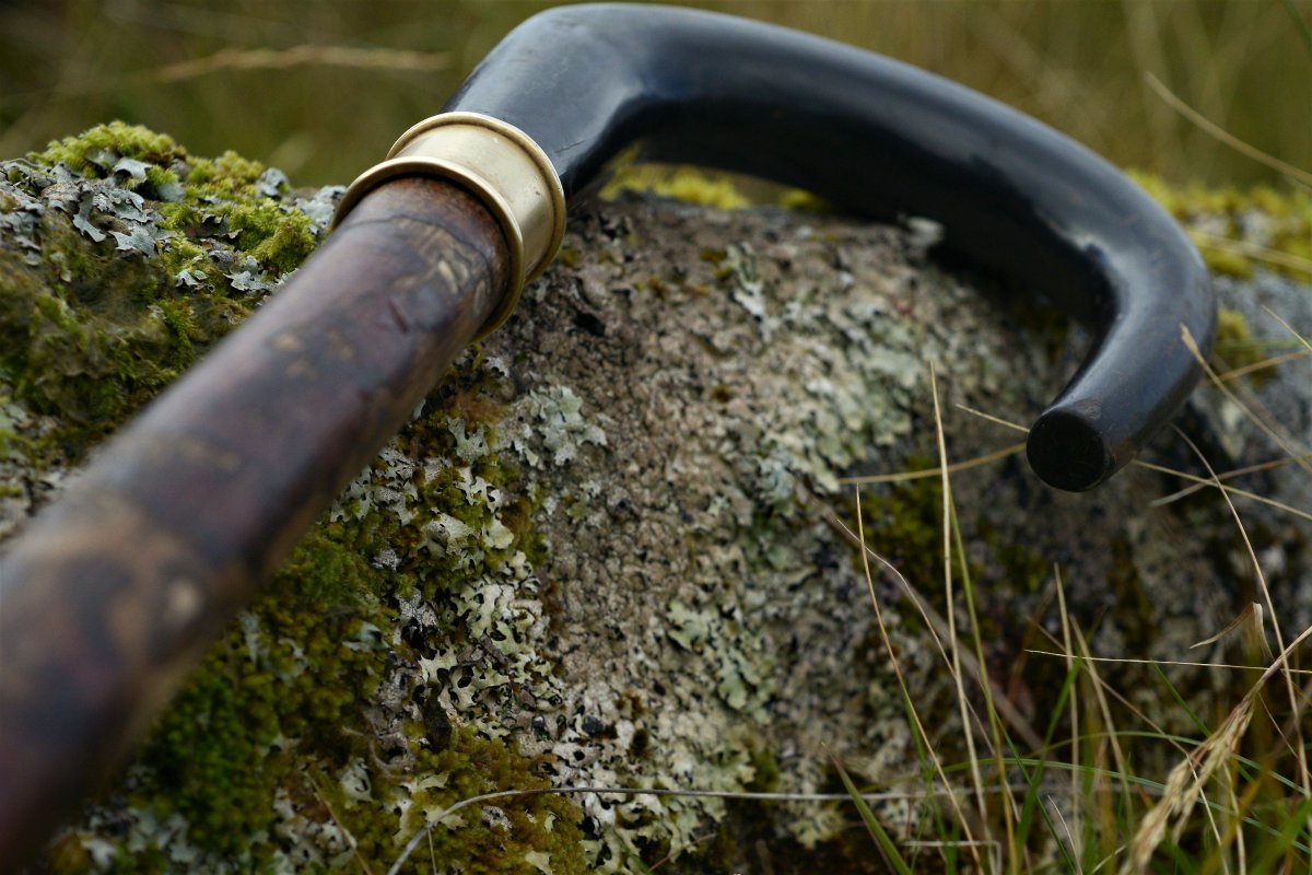 WestHighHunt's tweet photo. The air up here is so pure it allows rare mosses and lichens to thrive. This image was captured by @fieldsportstv. #clearyourhead https://t.co/Y4IDHugJLM
