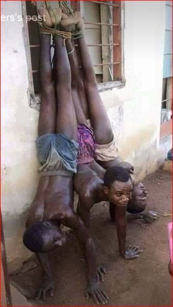 misscdm100's tweet photo. Slavery.  2017. The modern world.

Will this dispicable treatment of human-beings ever end?
How can we challange those who that undertake these atrocities??? https://t.co/UfVI4zaTqh